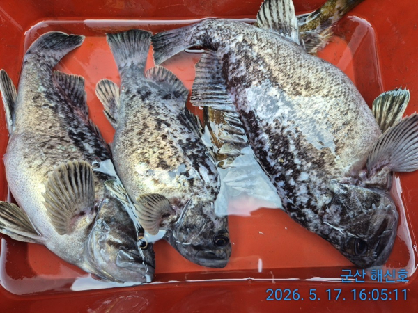 군산해신호_사진_20260517_11.jpg