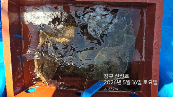 신신낚시 강구점 신신호_사진_20260516_19.jpg