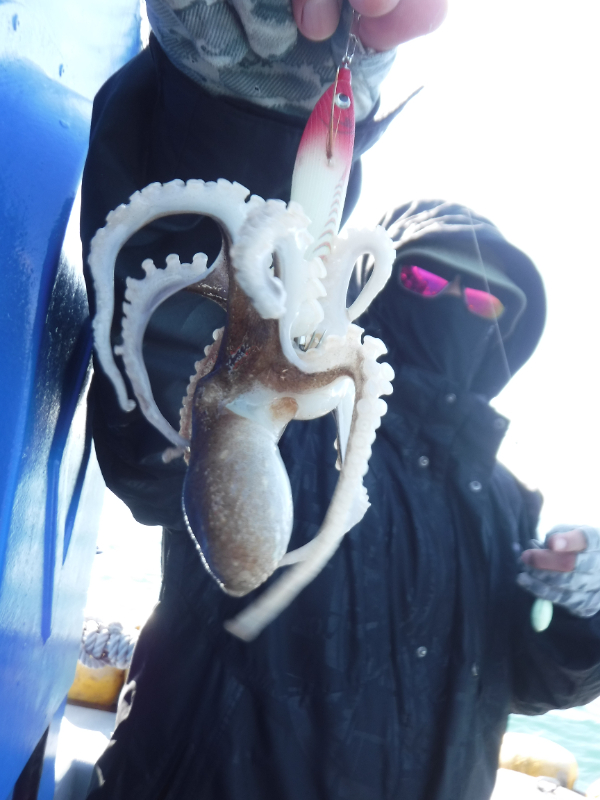 DSCF5682.JPG