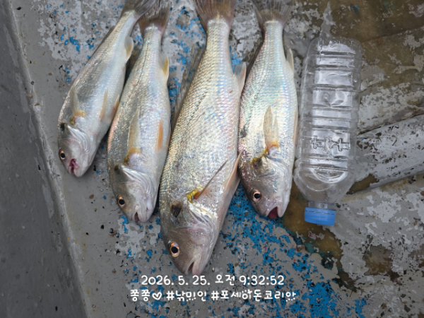 여수타이슨호01032905655_사진_20260527_2.jpg