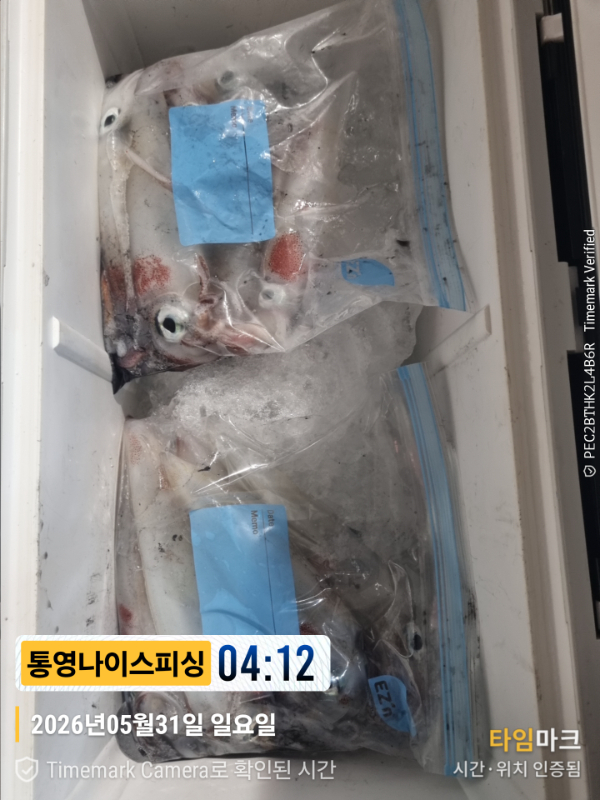2026-05-31 04.12.58__(제목-통영나이스피싱).jpg