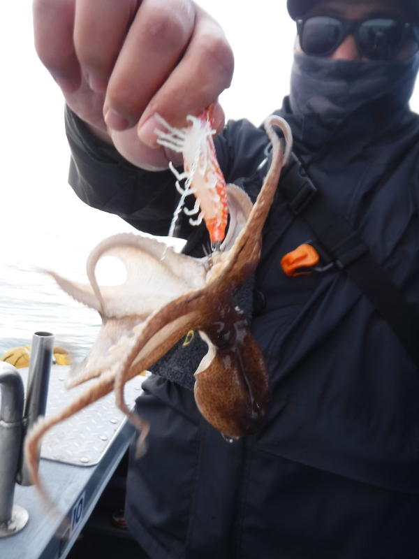 DSCF5696.JPG