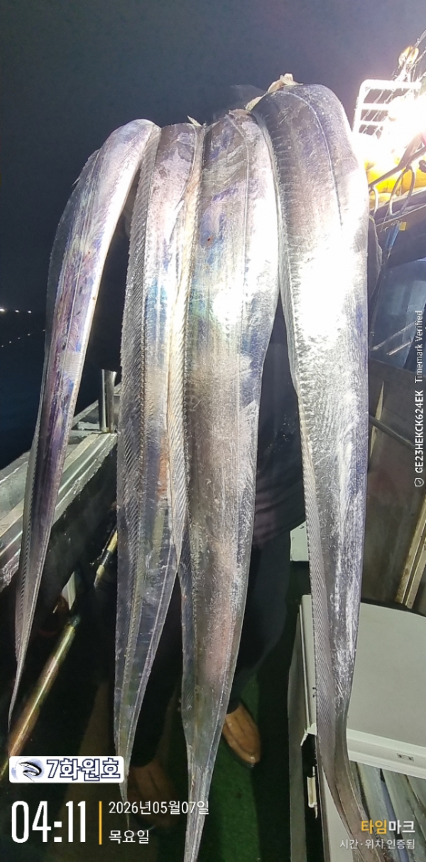 제주갈치낚시 화원호_사진_20260507_12.jpg