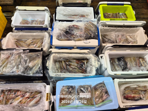 바다꾼낚시(신아라호)_사진_20260526_3.jpg