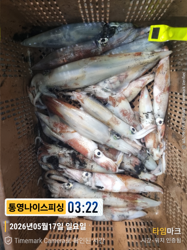 2026-05-17 03.22.08__(제목-통영나이스피싱).jpg