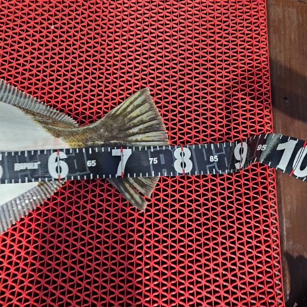 1000054585.jpg