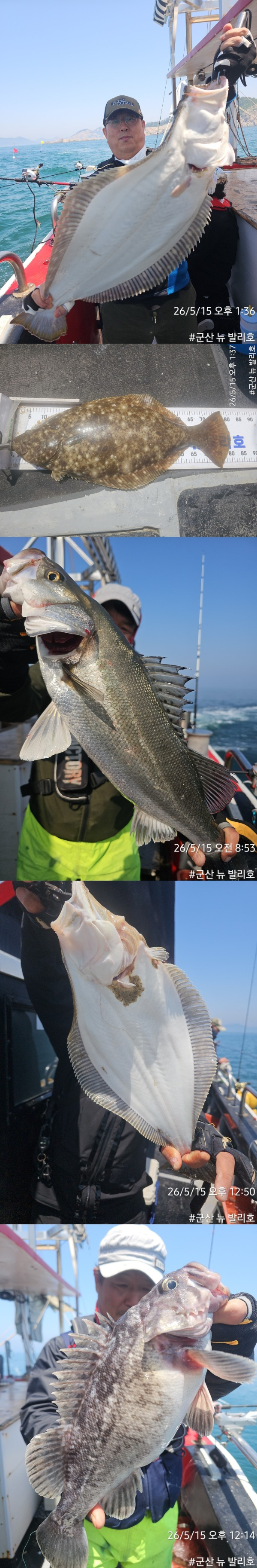 KakaoTalk_20260515_164038230_01-vert11111.jpg