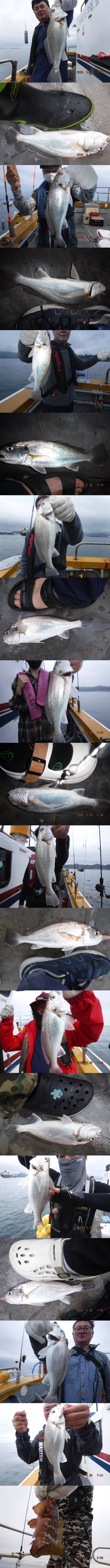 출조1421.jpg