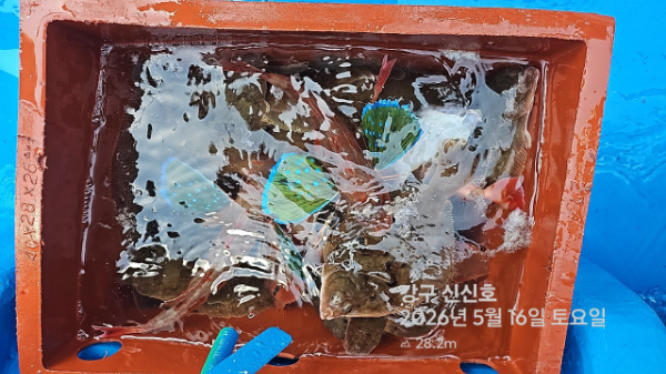 신신낚시 강구점 신신호_사진_20260516_17.jpg