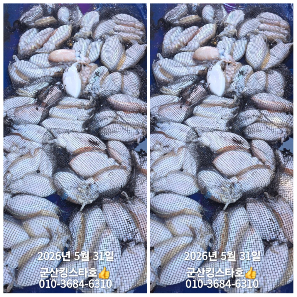 PhotoCollage_1780212633740.jpg