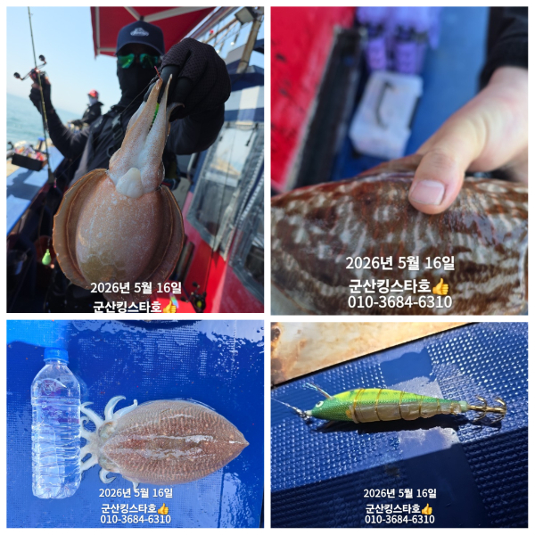 PhotoCollage_1778909551514.jpg