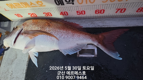 1000033840.jpg