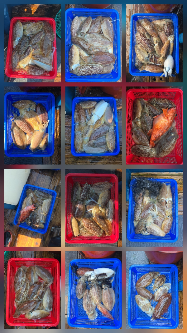 KakaoTalk_20260516_111237321.jpg