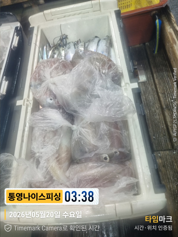 2026-05-20 03.38.23__(제목-통영나이스피싱).jpg