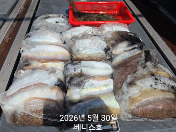 KakaoTalk_20260530_144055613_01.jpg