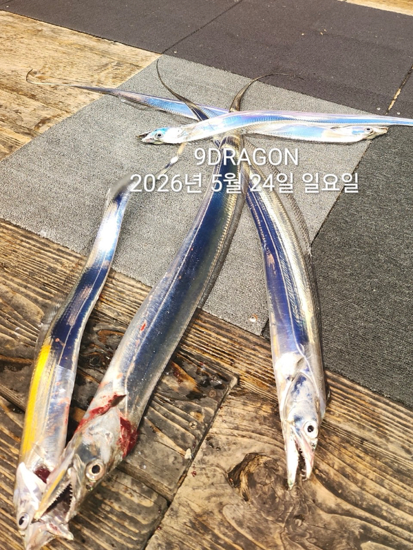 261ACE1E-72FE-4299-8AA0-9019550E168C.jpeg