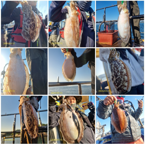 1780201917691.jpg