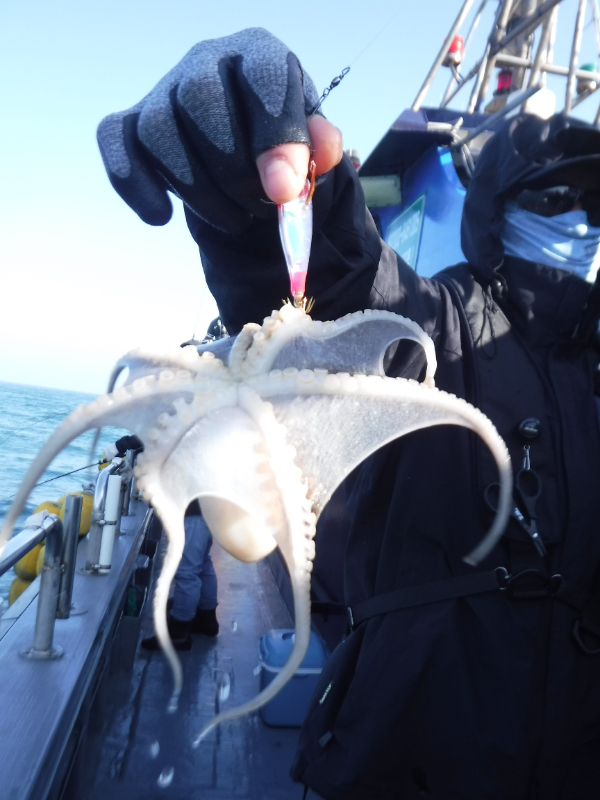 DSCF5673.JPG