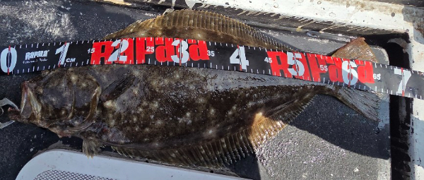 17211.jpg