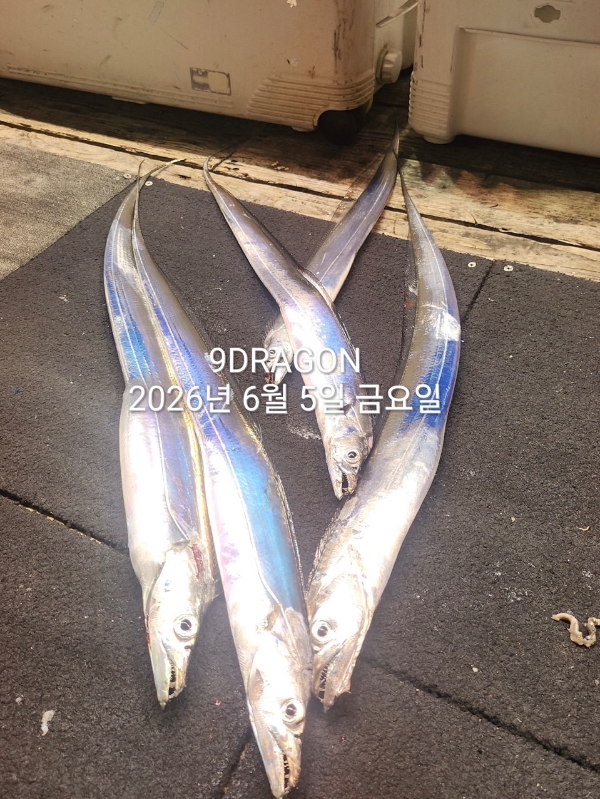 9AC3390F-5ABE-4E03-899E-F97FF72D887E.jpeg