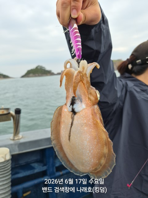 KakaoTalk_20260618_031430050_07.jpg