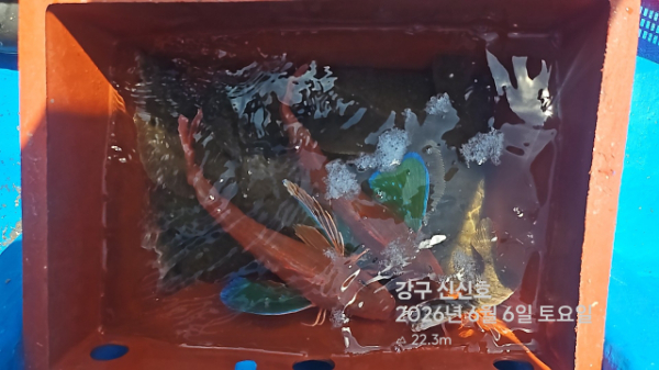 신신낚시 강구점 신신호_사진_20260606_17.jpg