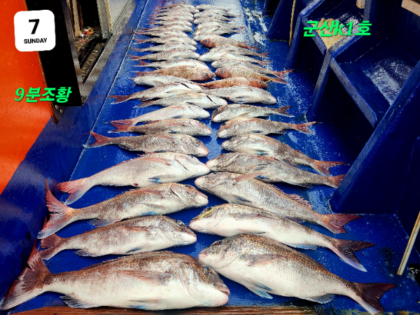1780817326063.jpg