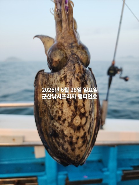 KakaoTalk_20260628_062049994_06.jpg