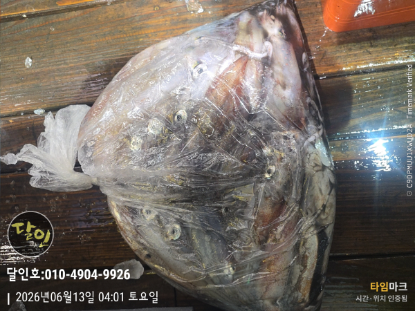2026-06-13 04.01.31__(제목-달인호010-4904-9926).jpg