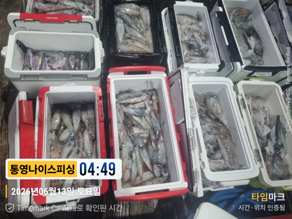 2026-06-13 04.49.28__(제목-통영나이스피싱).jpg