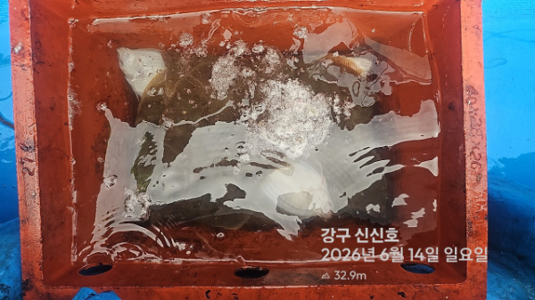 신신낚시 강구점 신신호_사진_20260614_4.jpg