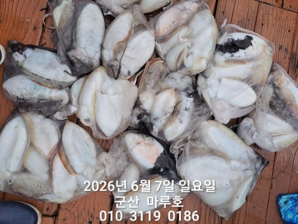 KakaoTalk_20260607_151918237.jpg