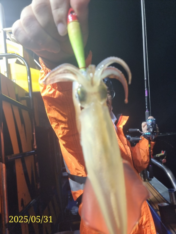 BandPhoto_2026_06_17_08_01_20_16.jpg