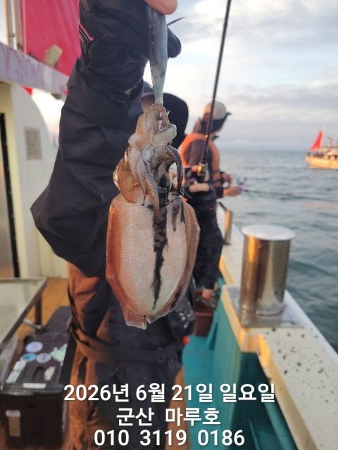 KakaoTalk_20260621_054312894.jpg