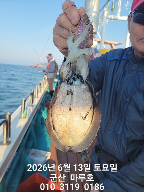 KakaoTalk_20260613_070403056.jpg