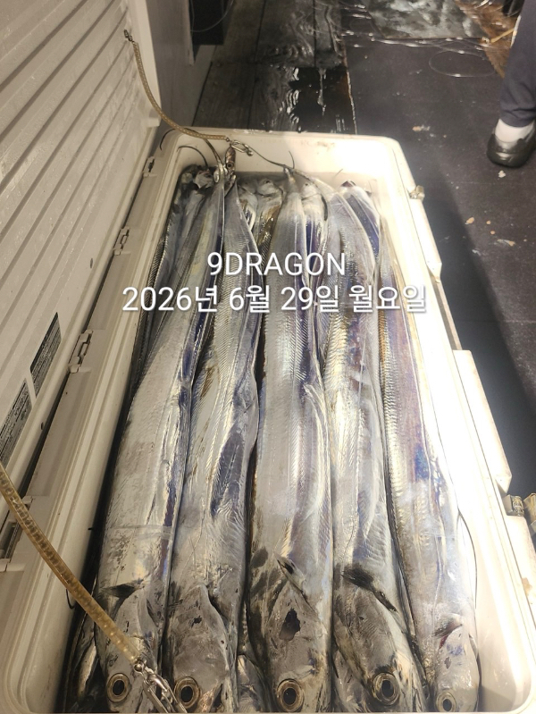 E47FB334-40FF-47BF-AF1B-799DAC69CAF6.jpeg