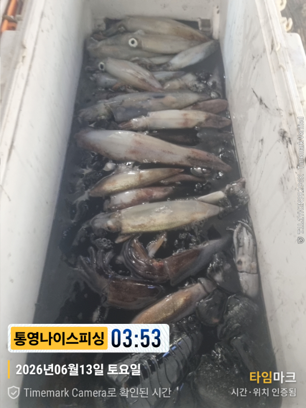 2026-06-13 03.53.11__(제목-통영나이스피싱).jpg