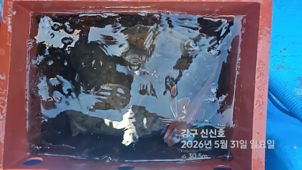 신신낚시 강구점 신신호_사진_20260531_16.jpg