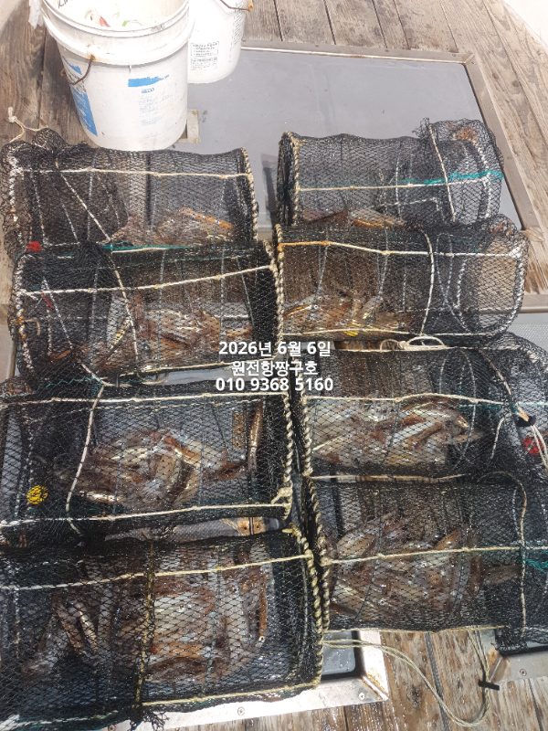 KakaoTalk_20260607_055104899_08.jpg