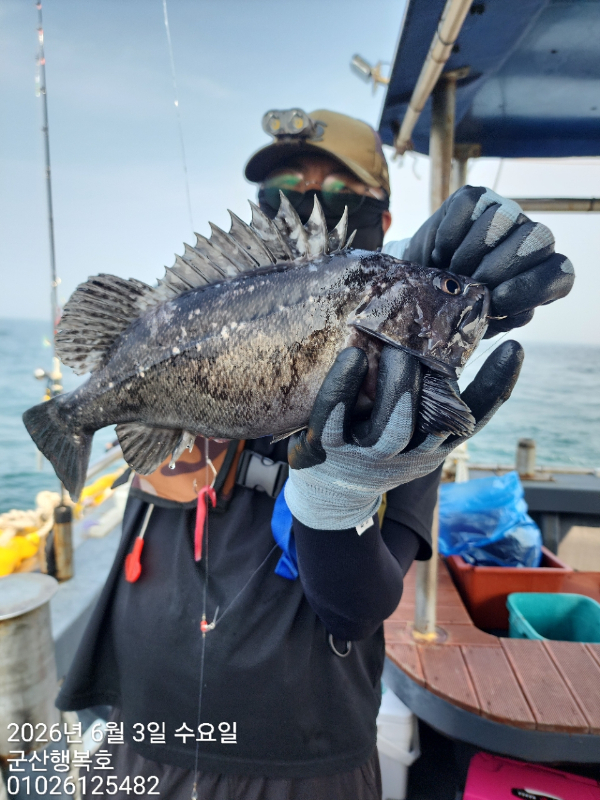 군산행복호_사진_20260603_2.jpg