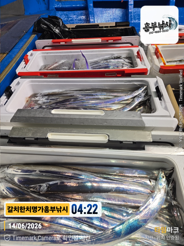 2026-06-14 04.22.10__(제목-갈치한치명가흥부낚시).jpg