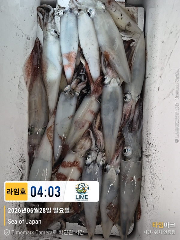 KakaoTalk_20260628_134018523_20.jpg