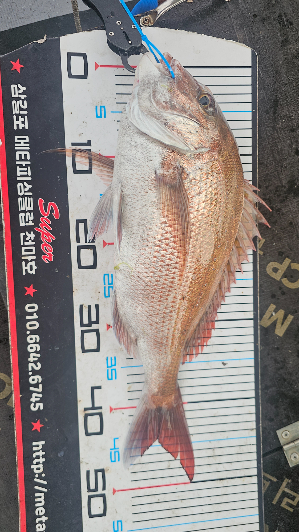 KakaoTalk_20260619_172650774_15.jpg