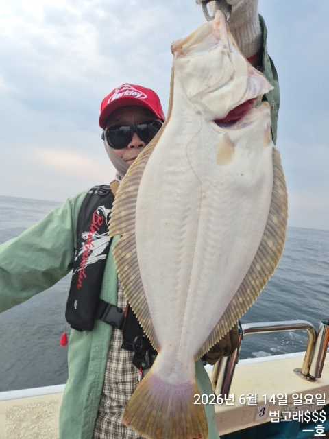 KakaoTalk_20260614_094625690_06.jpg