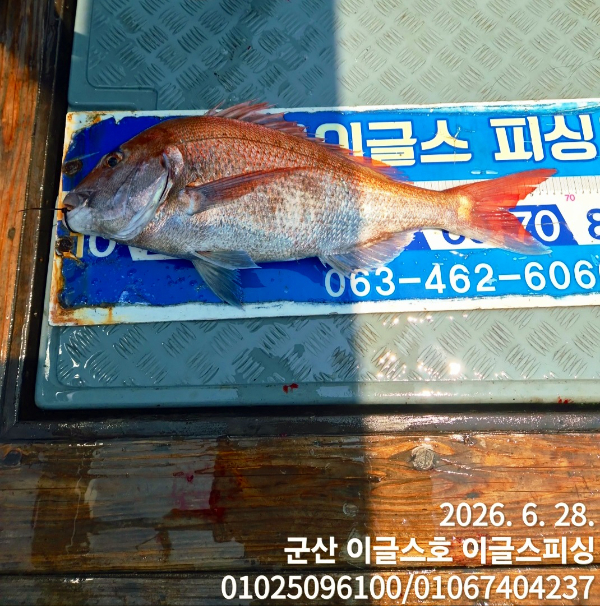 1782622879459.jpg