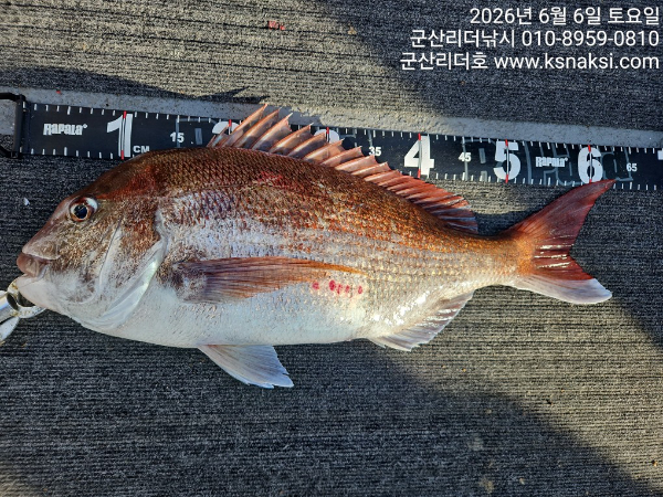 1780729305423.jpg