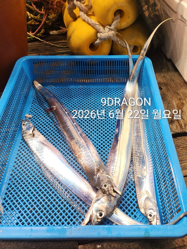 8FE09BF7-72DA-4583-9D57-BE8B2E5A503A.jpeg