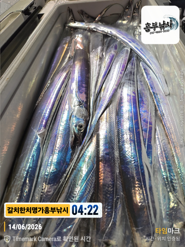 2026-06-14 04.22.31__(제목-갈치한치명가흥부낚시).jpg