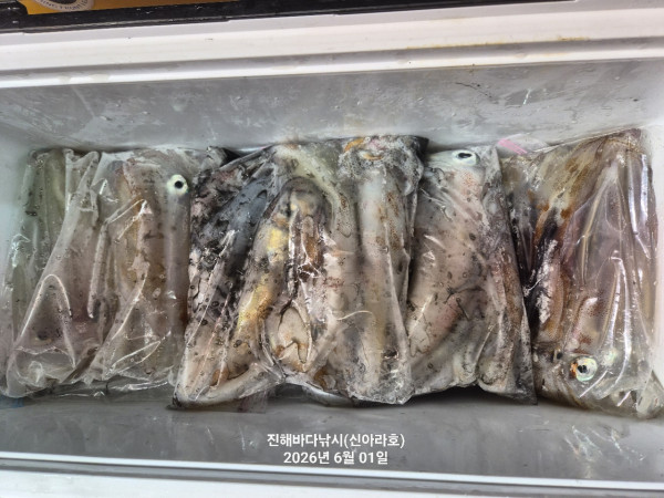바다꾼낚시(신아라호)_사진_20260601_18.jpg