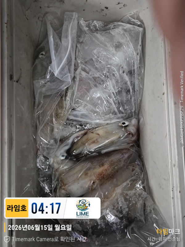KakaoTalk_20260616_065443814_23.jpg